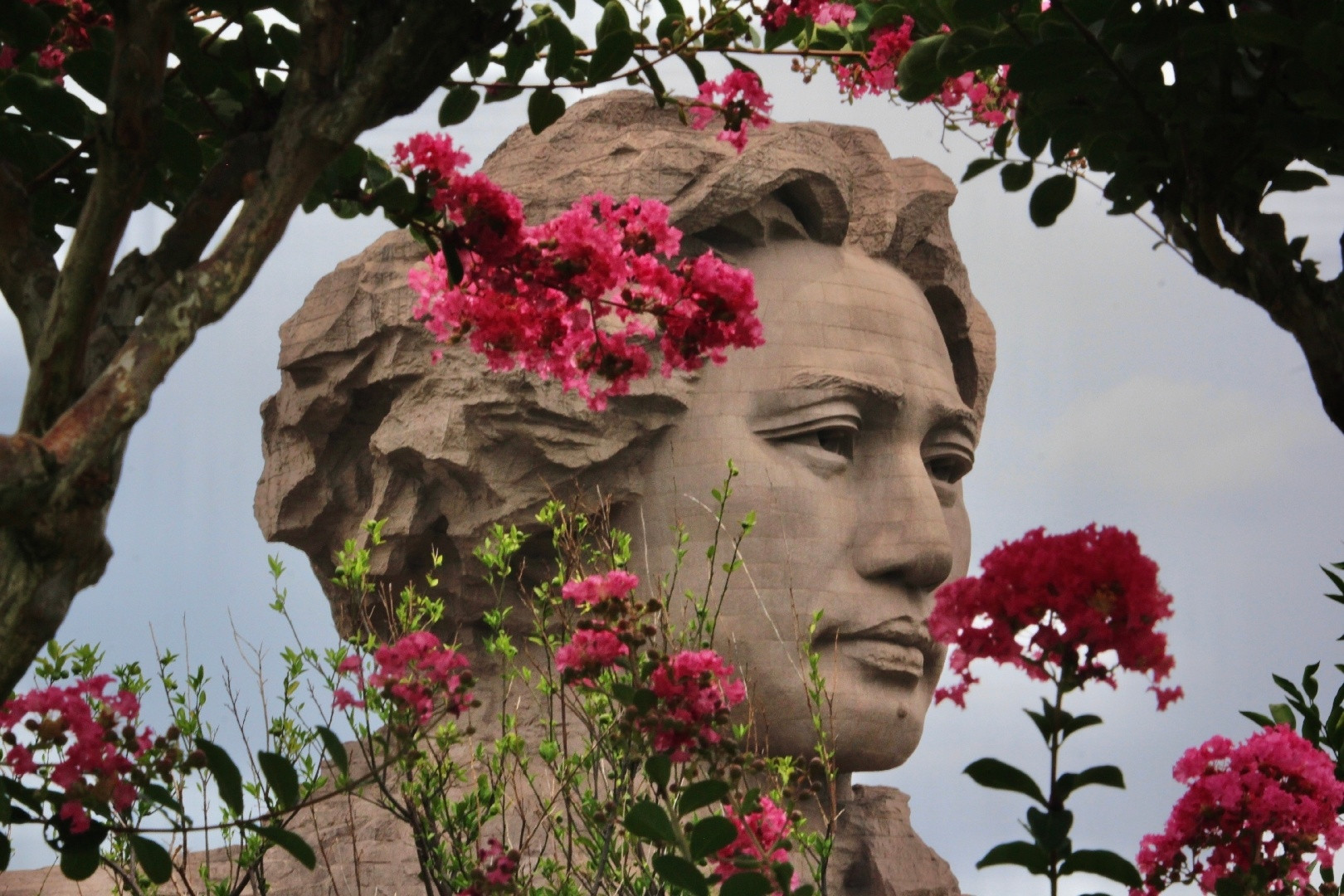 🔻山花烂漫时。​​​