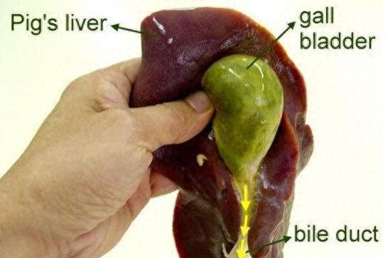 口苦真相：不是肝郁，就是脾胃“堵”！4个妙招，拔出口苦病根我是中医陈大夫，