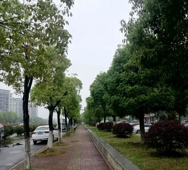 刚才刷视频，看到五一苏州相亲市场。真伤透了大龄剩女的心，几个女孩自我嘲讽道，