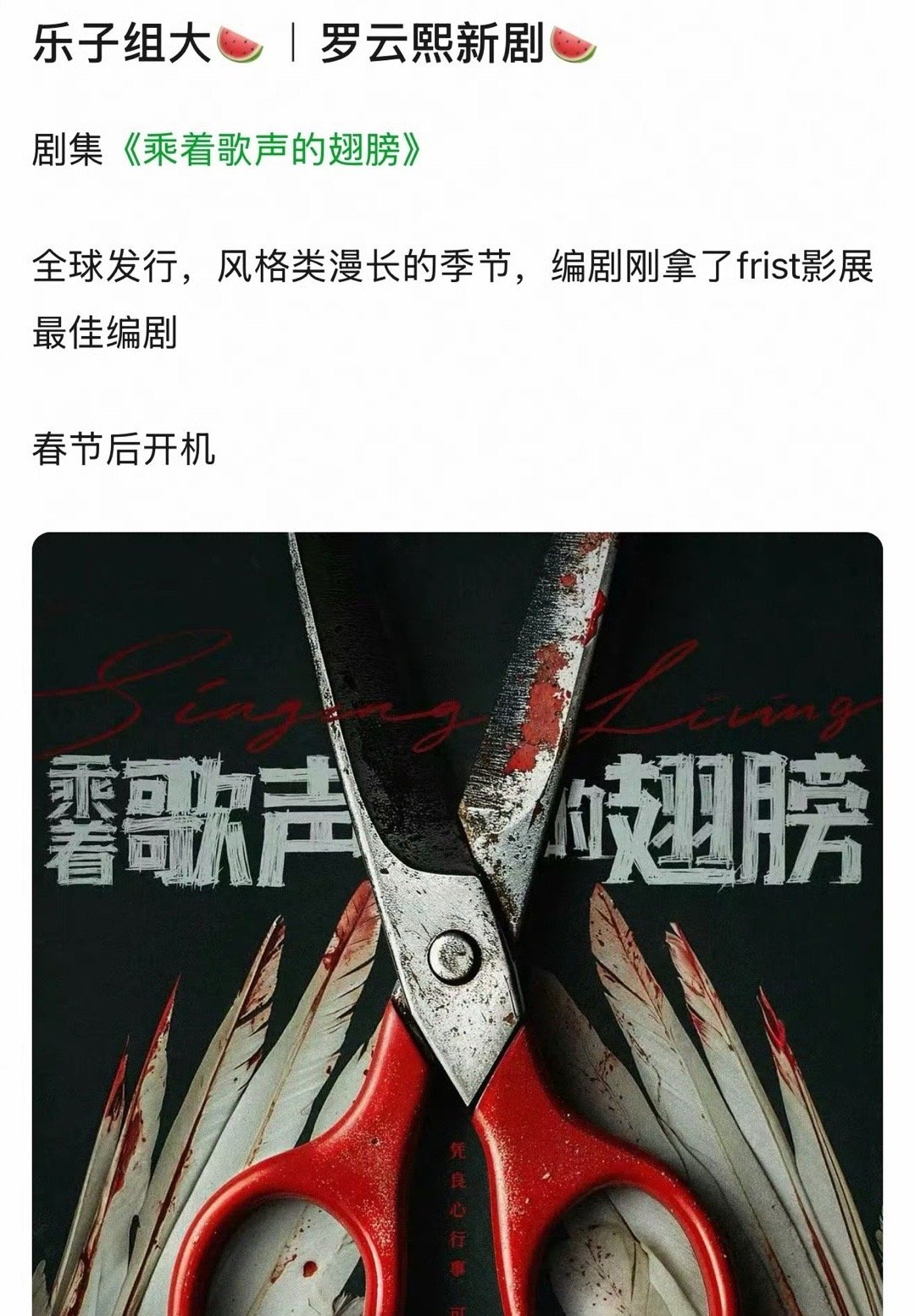 🍉罗云熙即将进组悬疑大剧《乘着歌声的翅膀》粉丝可以期待下