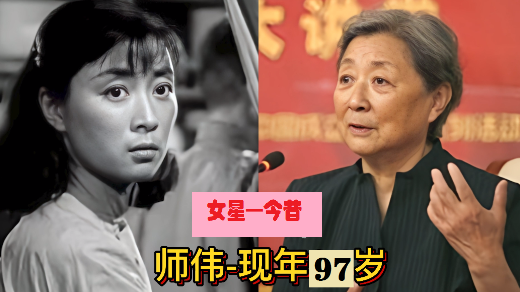 几十年前她们是父辈喜欢过的女明星，20岁左右的年纪，青春俏丽，淳朴优雅，贵在美的