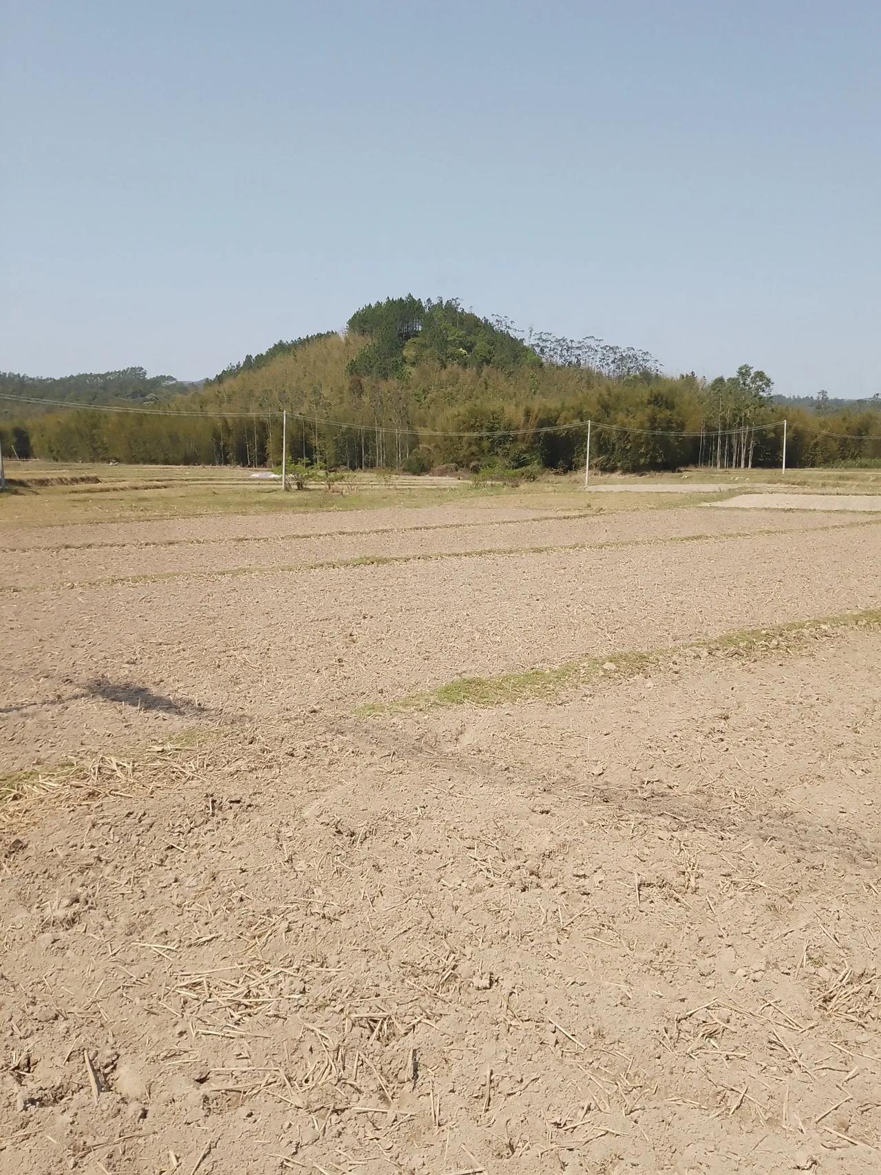 田景