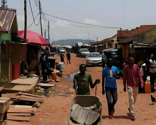 为什么非洲一直没发展起来？就拿非洲第一大国尼日利亚来说，这国家的先天条件简直