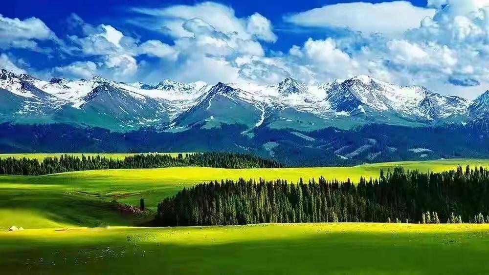 春语.诗风把璧南河的浪，揉成一汪温柔新筑木栈道牵起两岸青芜，漫过清波白