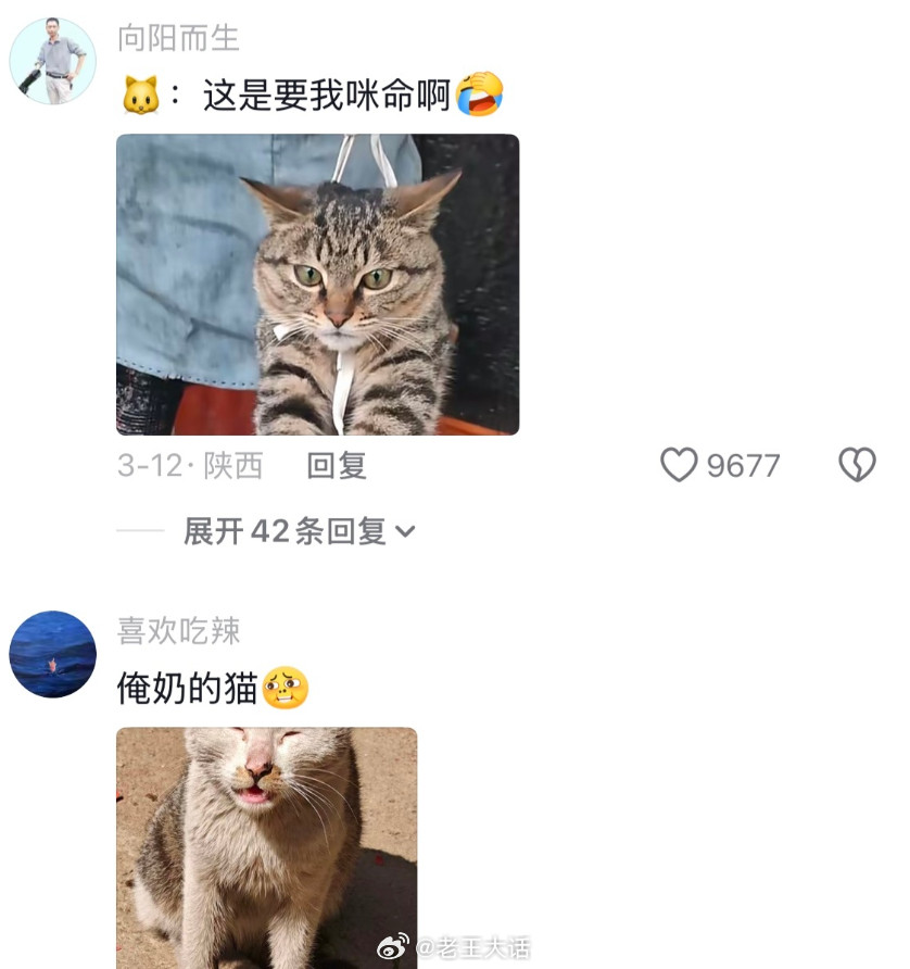 老一辈的统一称重方式