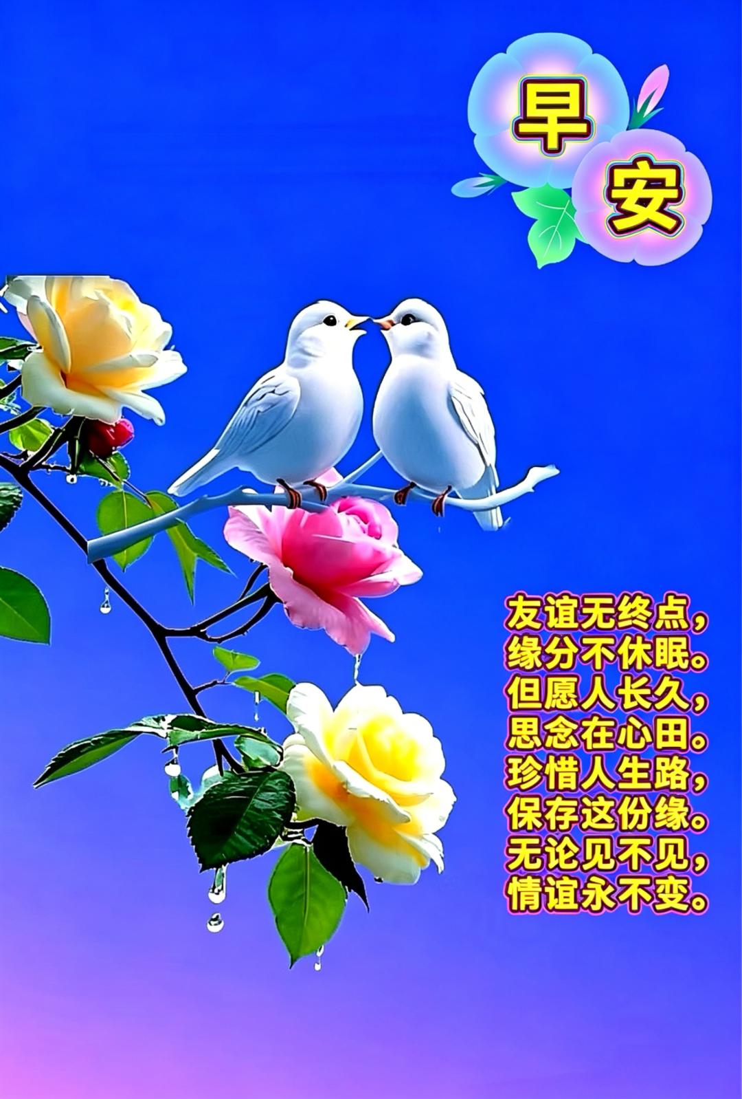 每天早上醒来的时候笑一笑，烦恼忧愁都会被赶跑，能吃能睡身体好，逍遥自在没有烦恼，