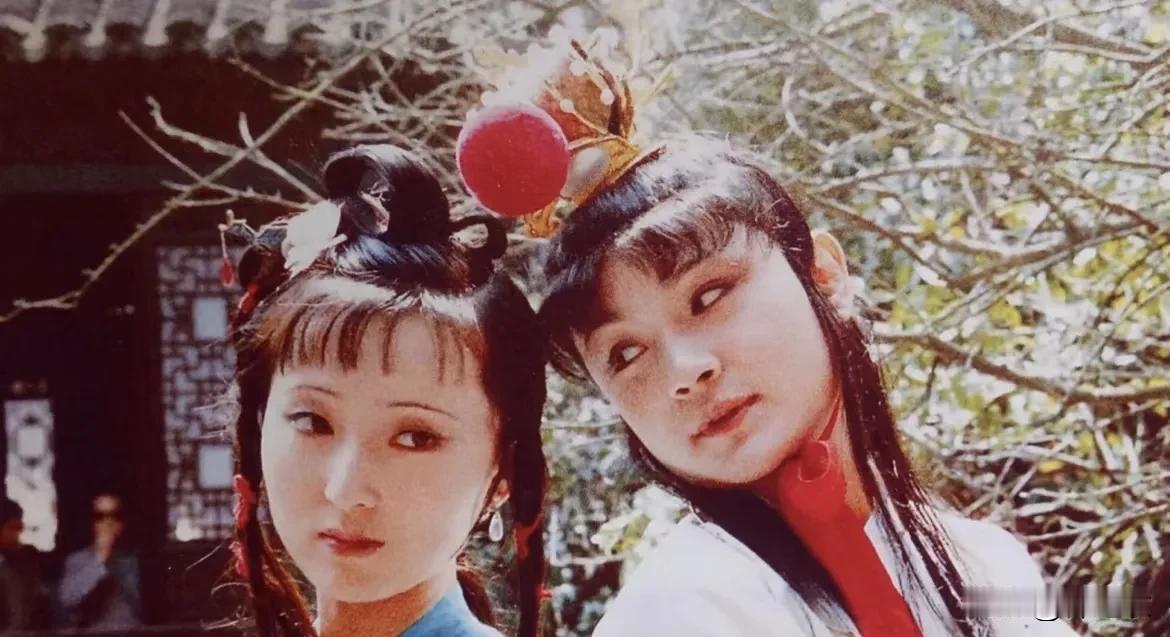 林黛玉一个孤女从小寄居外婆家，而贾宝玉和她年纪相仿地位最高，更是翩翩少年长得一表