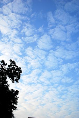 第一波冷空气在19日至21日登场，西北、内蒙古、东北最先迎来降温。 这股冷空气来得不算猛，可架不住它