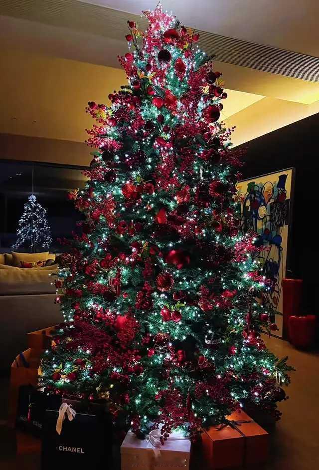 刘嘉玲香港豪宅内景曝光!12月22日，临近圣诞节，刘嘉玲罕见晒出了在香港豪宅里和