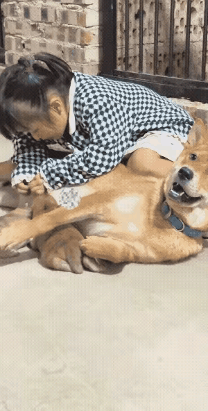 谁看了不笑到打鸣！这大概是全网最“霸道”的干饭现场了。狗妈妈正安安静静躺着