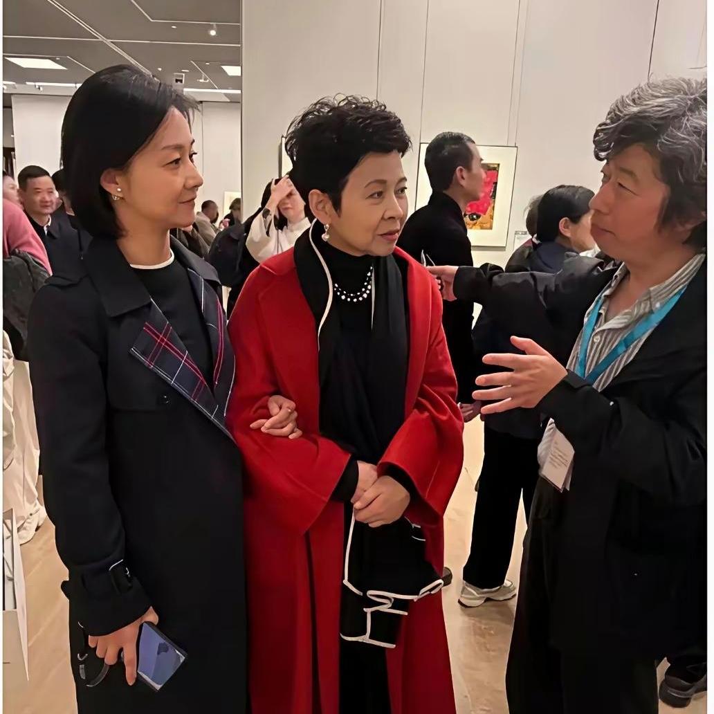 真不敢认董文华！怎么苍老这么多当年风华绝代的风采，全都被岁月磨没了岁月真