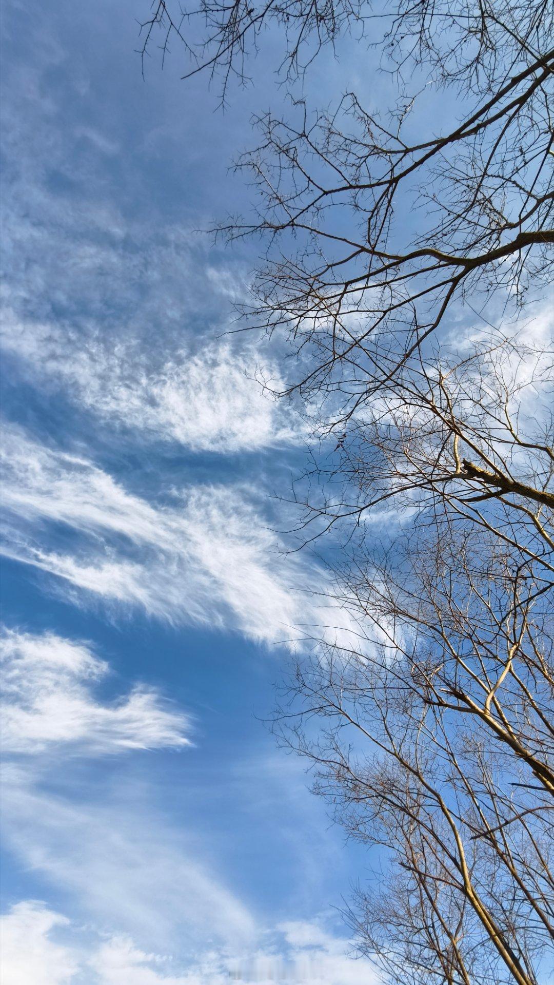 今日云絮，丝滑舒展，自在如风✨