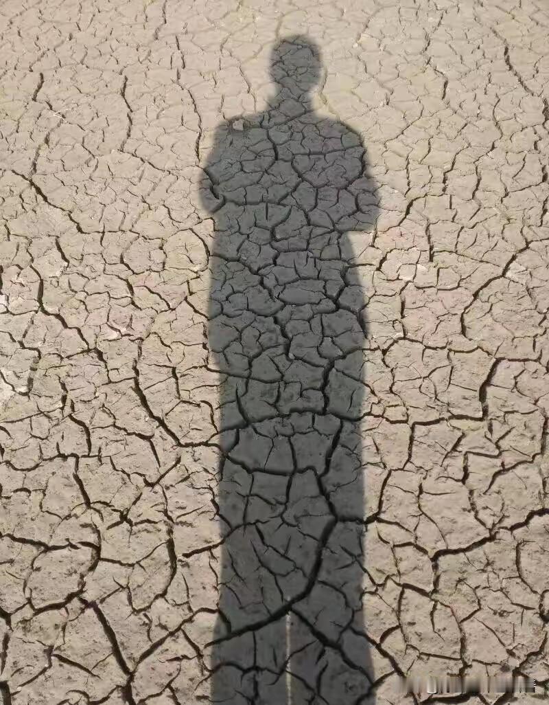 熬夜五层次：从伤肝阴到耗元气，身体的“透支警报”早知道大家好，我是陈大夫！