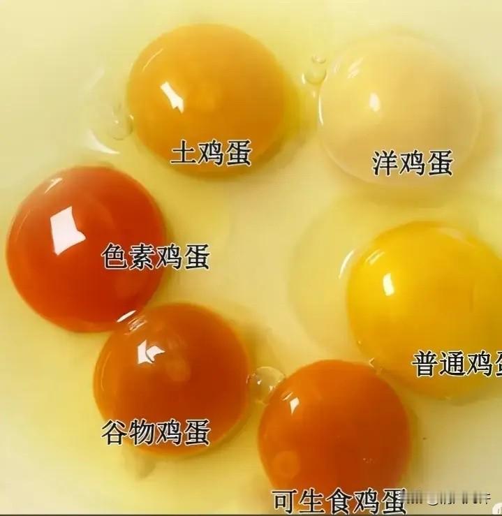 看315曝光的问题鸡蛋，才发现很多人一直都在交智商税。市面上那些高价土鸡蛋，