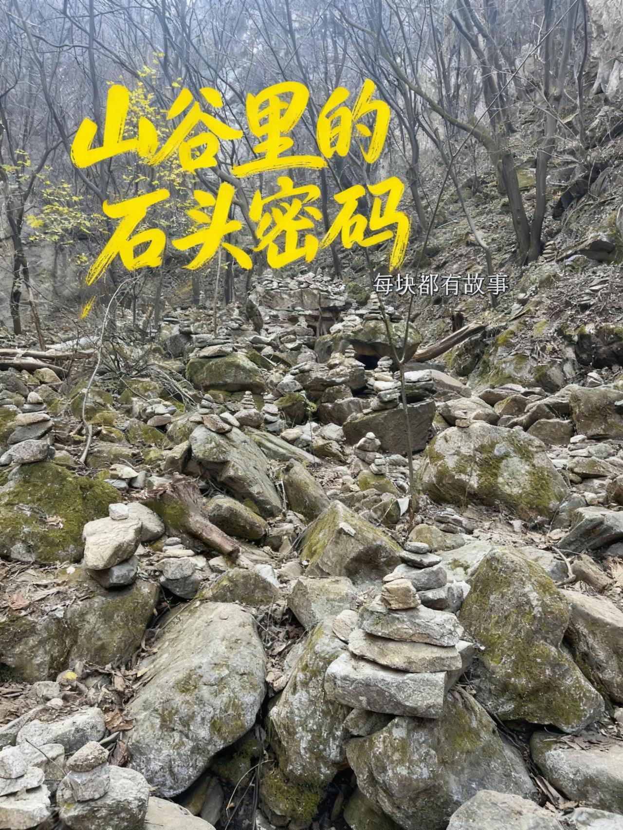 爬山⛰️山登山探秦