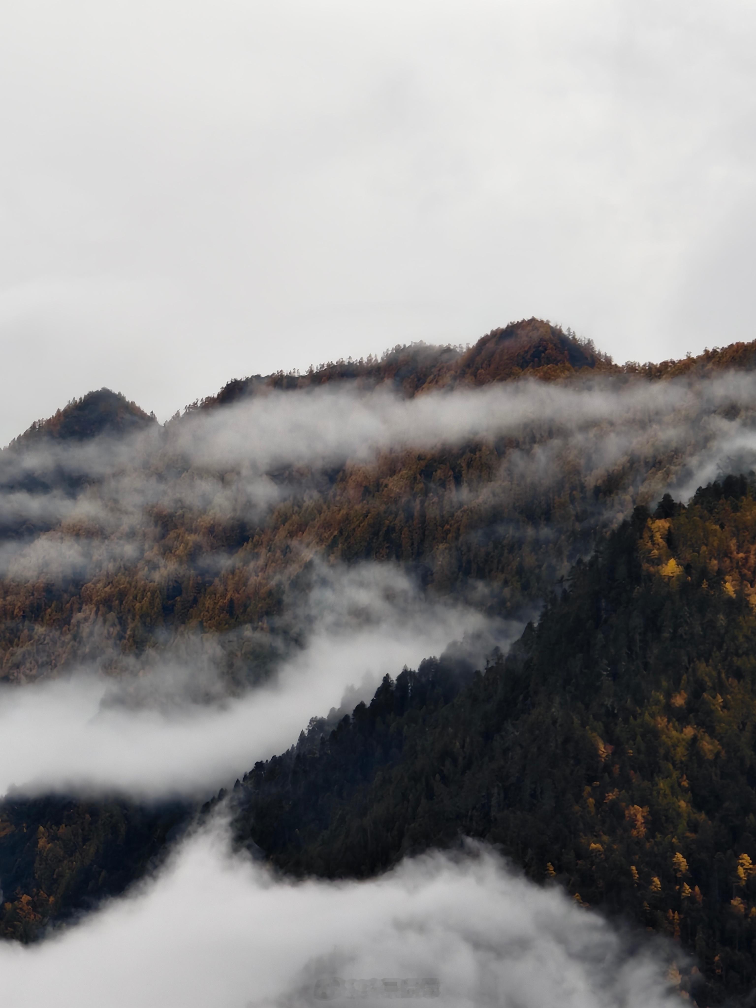 分享一波路上的随手拍,带一些神秘色彩的林芝