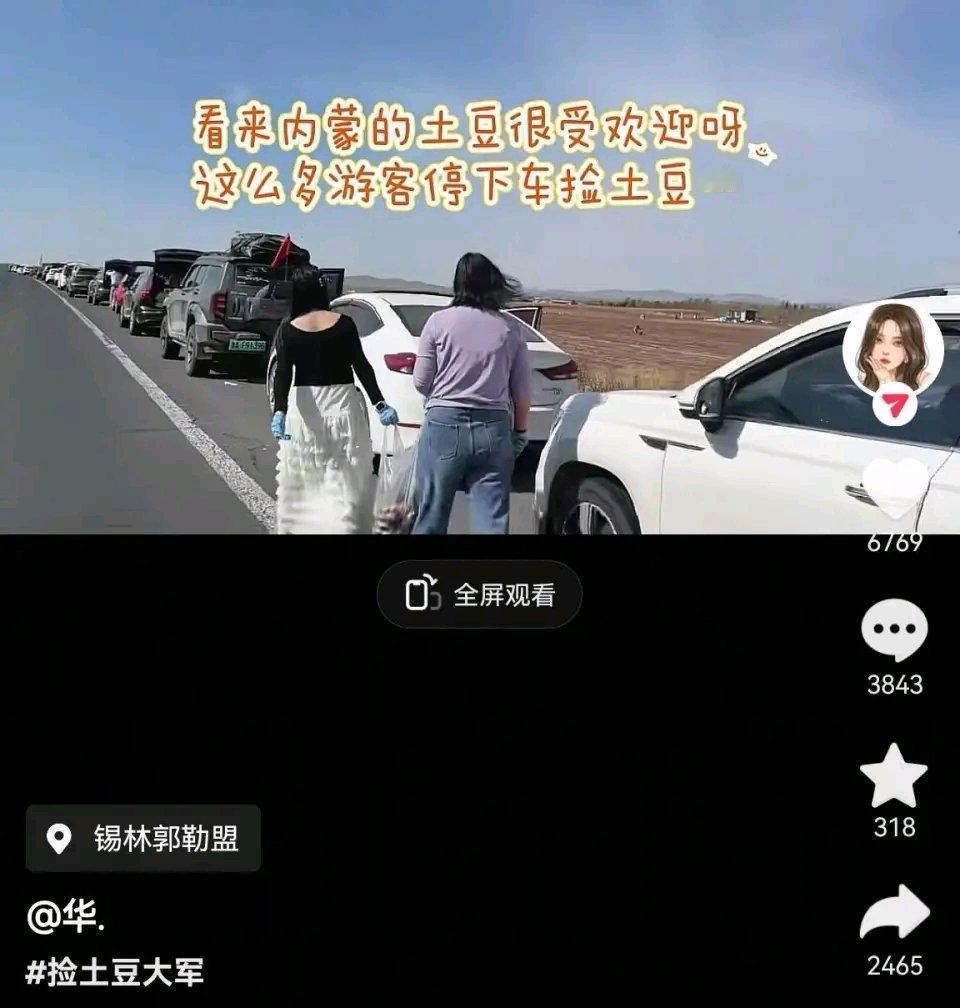 最近内蒙古多伦县西干沟乡的一片土豆地火了！网上好多网友发视频，数十辆车在国道旁排