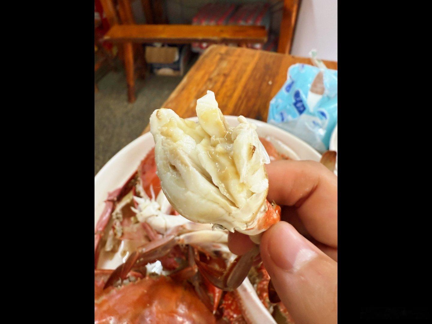 舟山8月初刚开海，梭子蟹真棒肉还没到最肥的时候，但是真鲜啊​​​