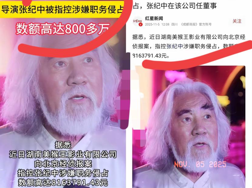 张纪中这回是真摊上棘手事了！被前妻樊馨蔓公司告职务侵占800多万，这事要是真