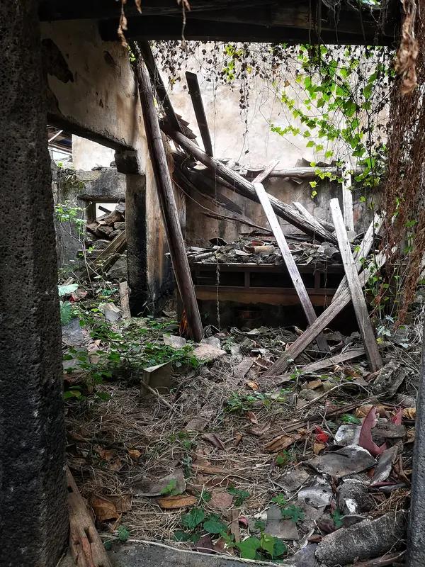 太治愈！95后女孩放弃高薪，回老家把破旧祖屋改成雨林民宿，全网羡慕哭了！家