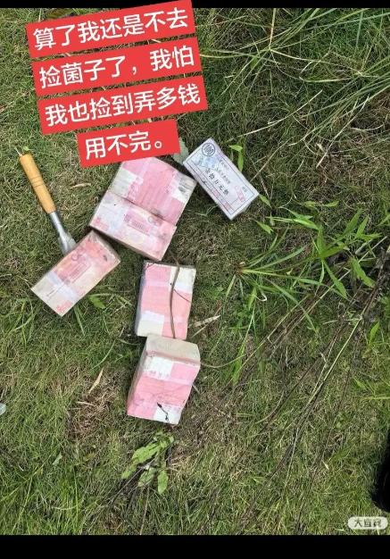市民挖菌子挖出“六十万现金”，男子不敢独享立即报警，结果调查后的真相让人大跌眼镜