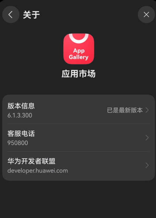 截图没截到，鸿蒙NEXT“”应用市场”更新在更新列表里是不显示的，你们的也这样吗