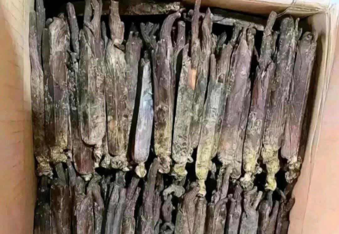 ?在广东深圳，一位女房东在前租客搬走后，准备打理出租房，想着把房子收拾得干干净净