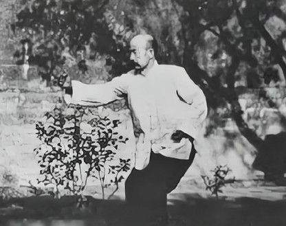 晚清时，一名武痴一拳打死了一恶霸。恶霸家人重金聘请一名武林高手，前来寻仇。不料武