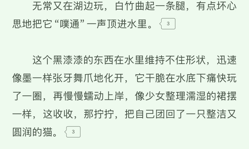 小猫咪小猫咪我们无常是最可爱的小猫咪