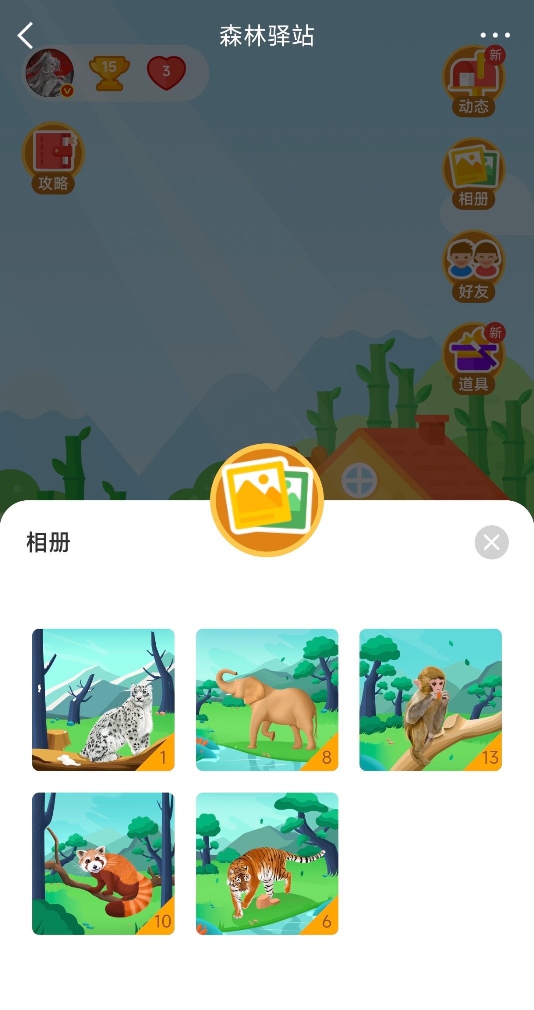 大喵王助养过的动物大盘点