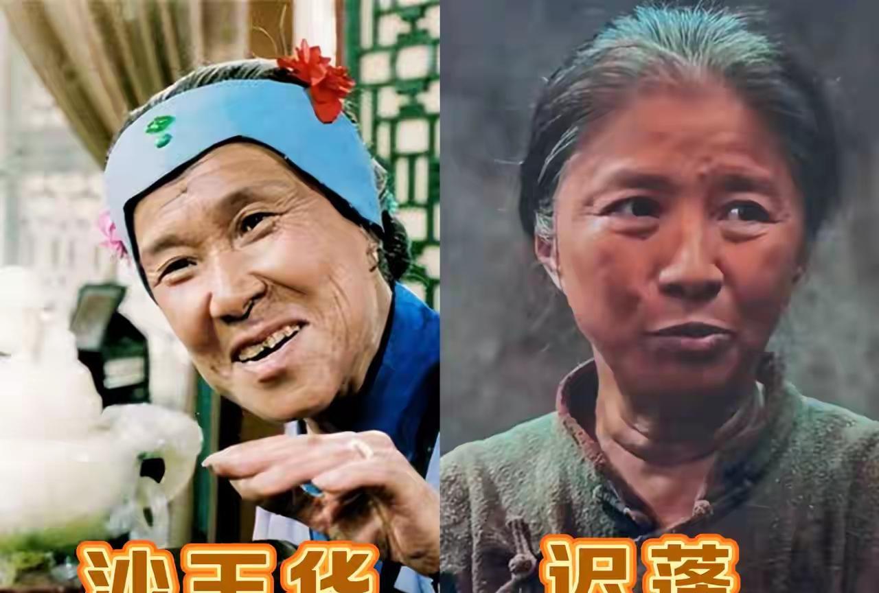 郑晓龙选的刘姥姥，和八七版的刘姥姥，在感觉上有没有相似之处？