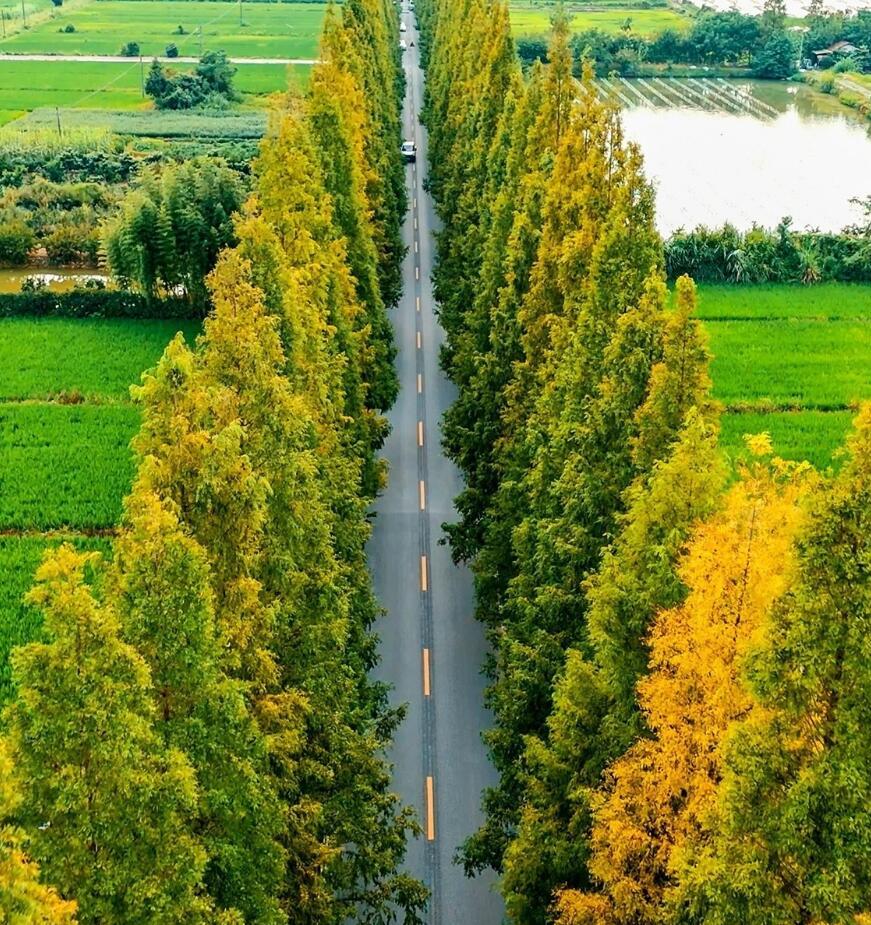 秋天才是最适合自驾的季节秋天才是最适合自驾的季节深表赞同，秋天没那么热了，很