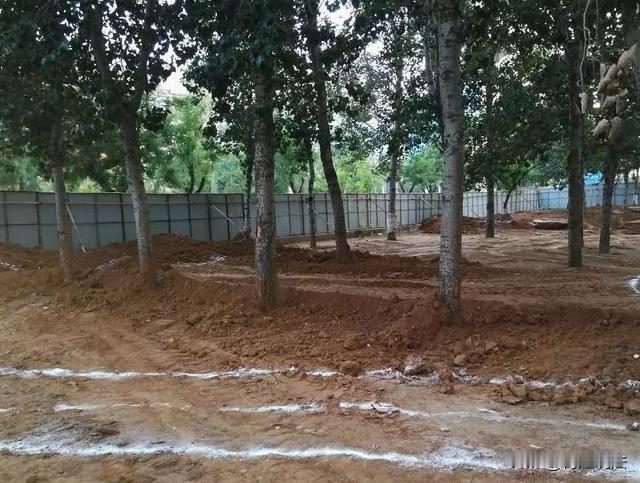 河北邯郸，李会林家里有块地被征收了，可这赔偿款却一直没拿到手。工作人员解释说已经