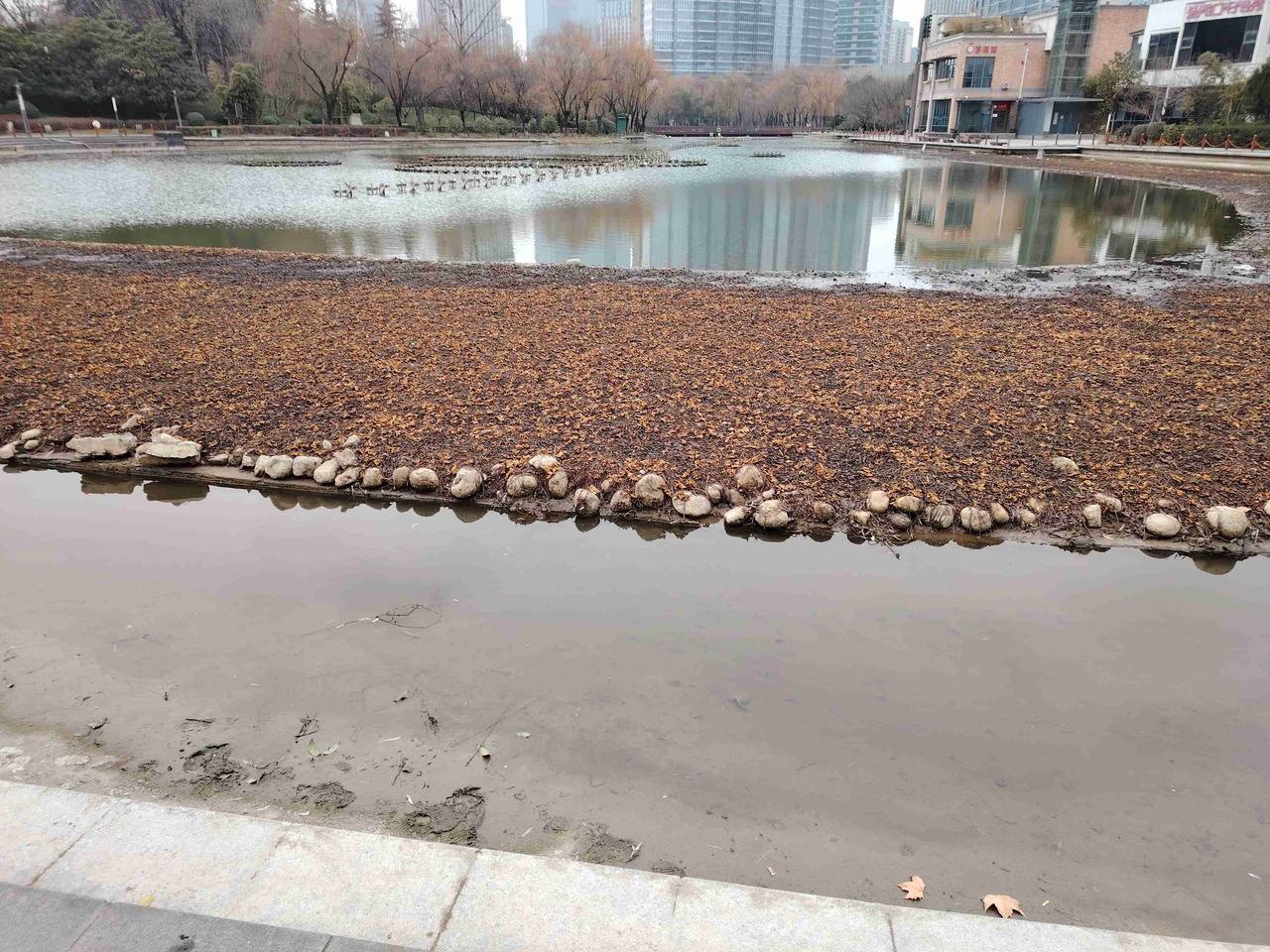 查教育腐败，应先从局长和校长入手。局长手握教师调动的大权，校长的任命大权，吃拿