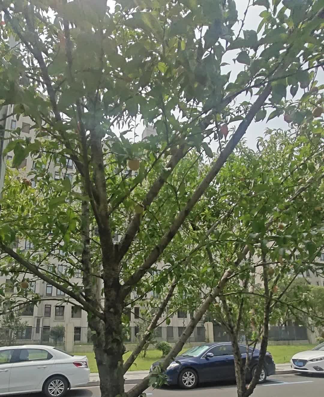 个人破产制度其实完全没必要在中国推行，不信可以看一看执行破产制度的美国。美国可以