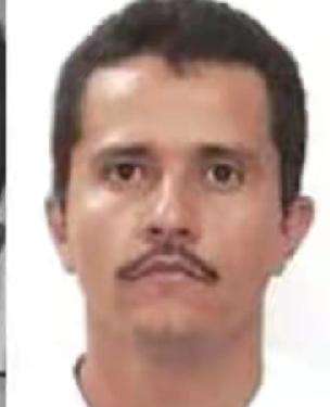 墨西哥被击毙贩毒头目，内梅西奥，一大家人都不是什么好人，儿子、女儿都在监狱坐牢，