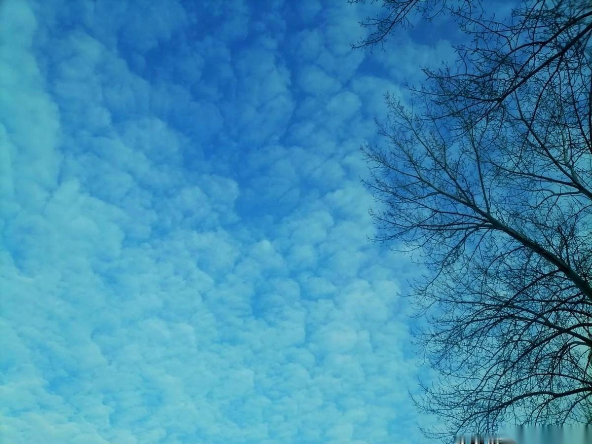 甭管之前传得多热闹，都没用。真正的风向标，还得看老师们自家的房子。青岛理工大