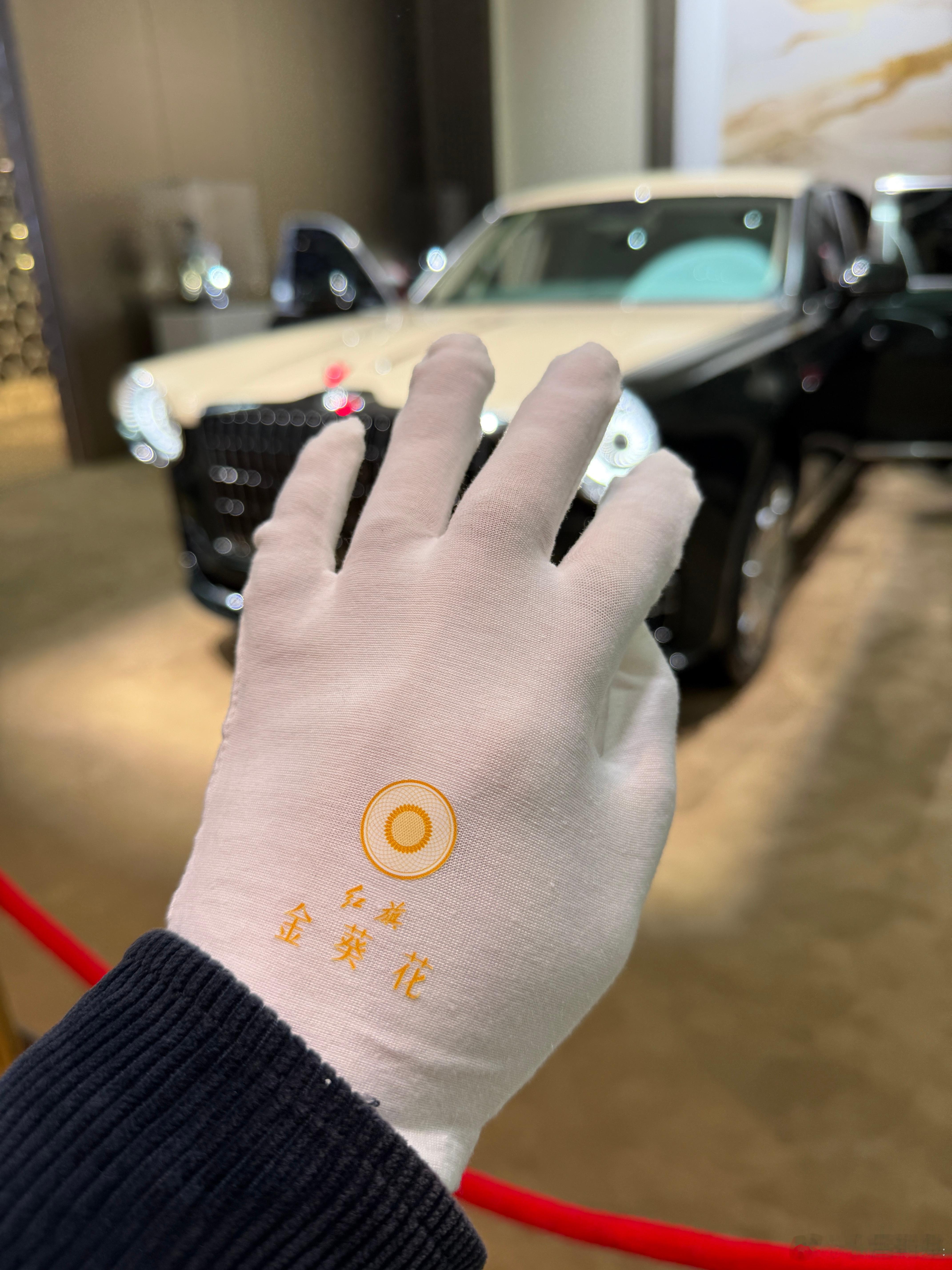 这得什么档次？