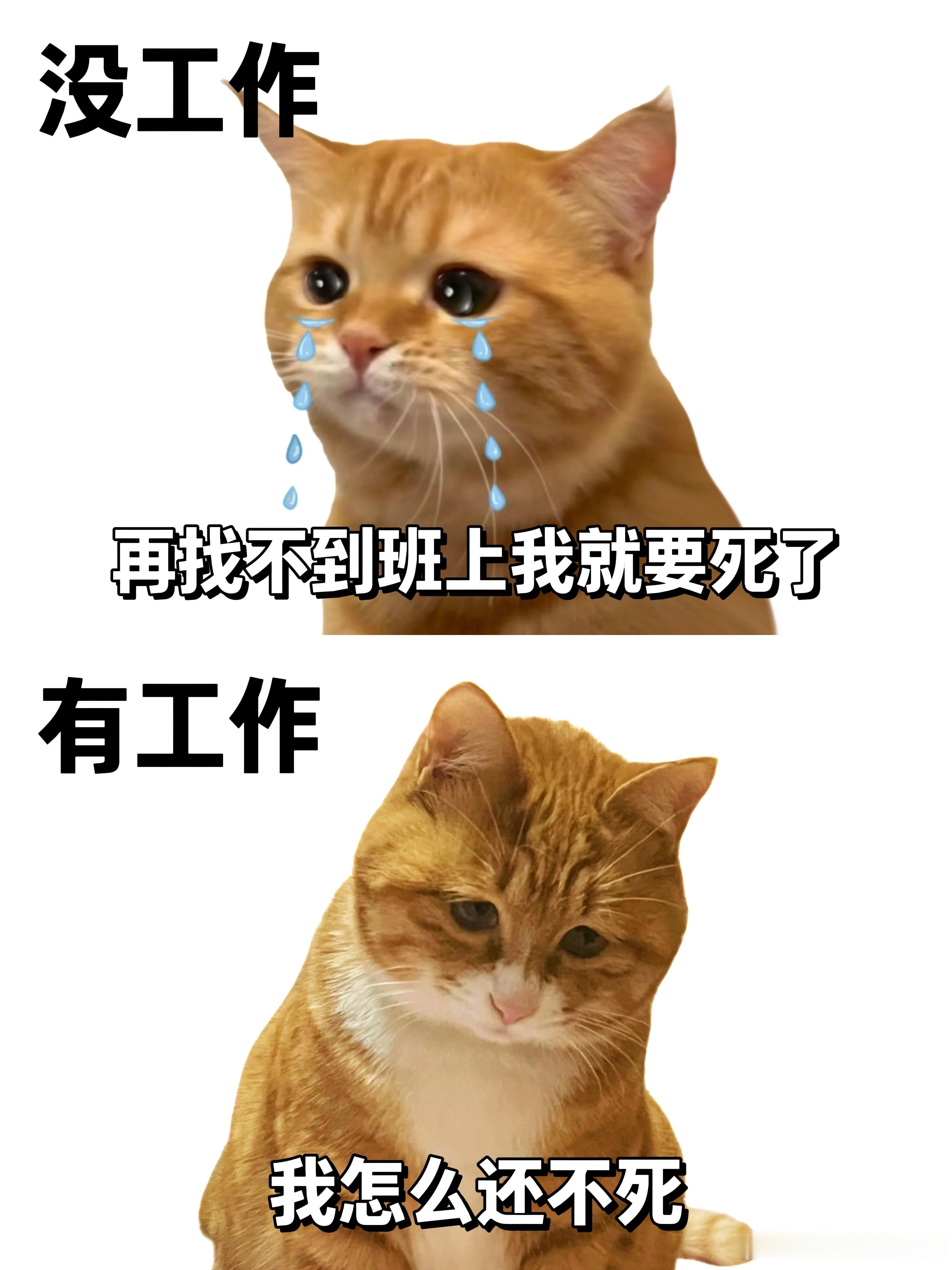上班前VS上班后​​​