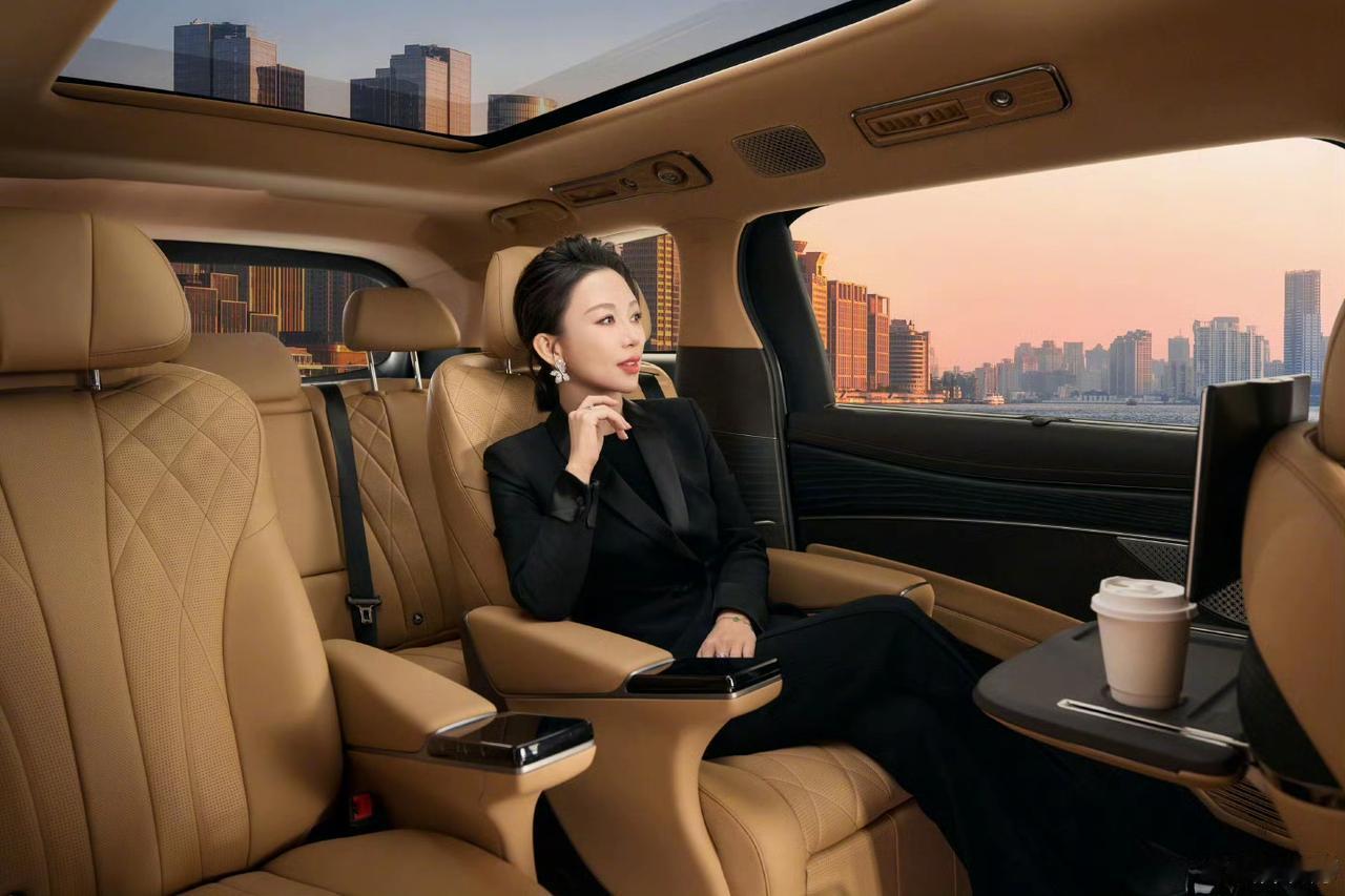 从东京通勤车队到墨西哥警队执勤现场，从匈牙利政府公务出行到巴西总统府专属座驾，比