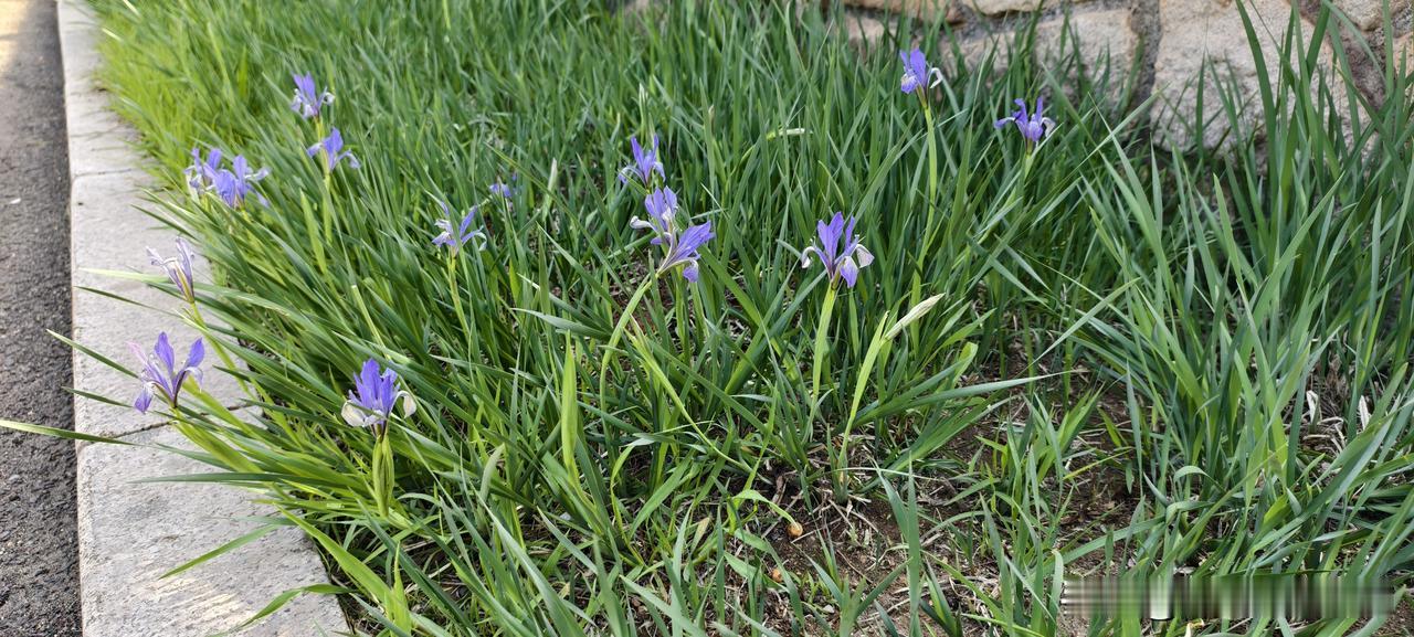 领导一句话就能搞定的事，非要让我去传话，里外不是人先讲个真事儿。上周，领