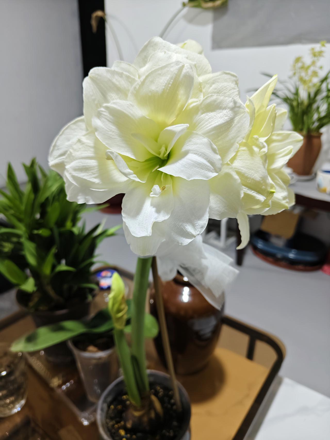 昨天客户说少收了一件货，和跨越多方沟通联系说就是44件，并无45件，仓库怀疑物流