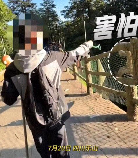笑不活了。四川乐山，一游客游玩峨眉山景区时，为了防止当地猴子撒泼侵扰，竟直接手拿