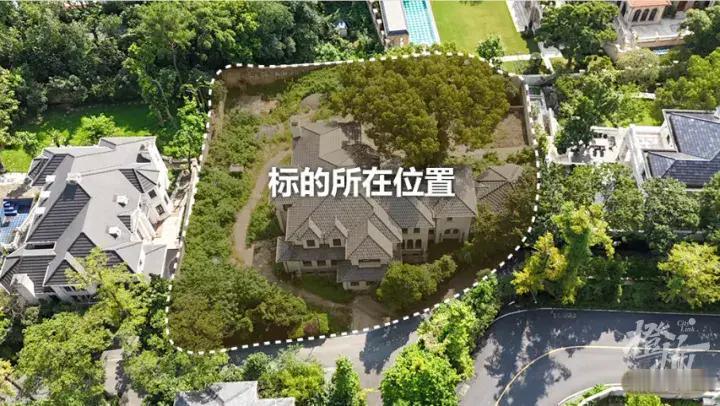 杭州九溪玫瑰园这套老牌独栋别墅拍卖，直接看呆6万多围观网友。起拍价1.6