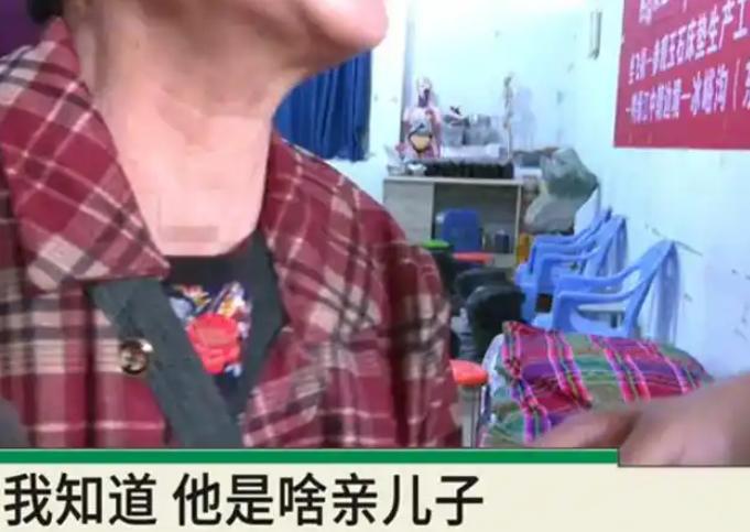 “太心疼了！”5月15日大象新闻报道，河南郑州，一对年迈的老夫妻每天凌晨五点就出