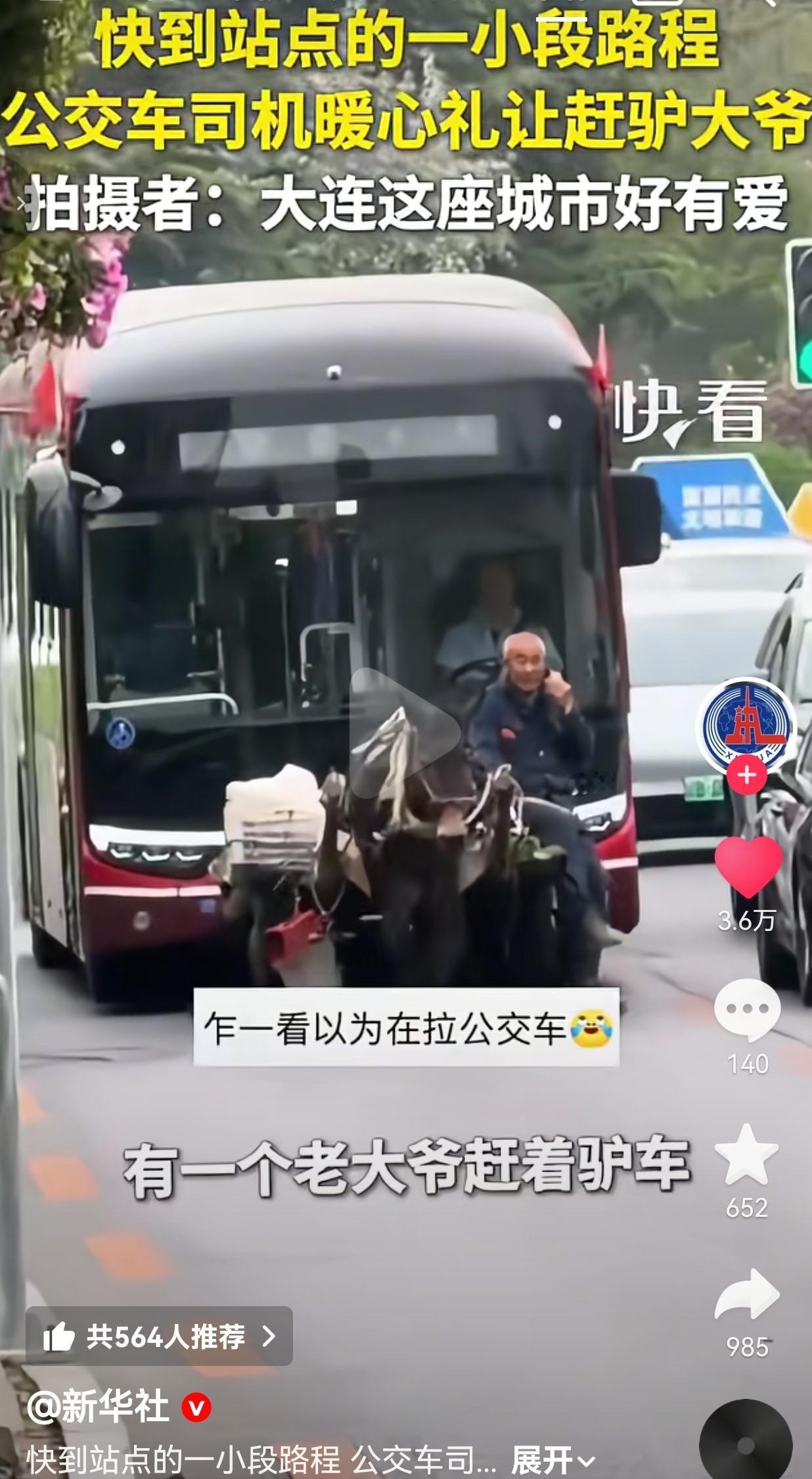 大连街头这一幕看哭了！公交车不催不按喇叭，静静跟着赶驴大爷走完全程5月2日