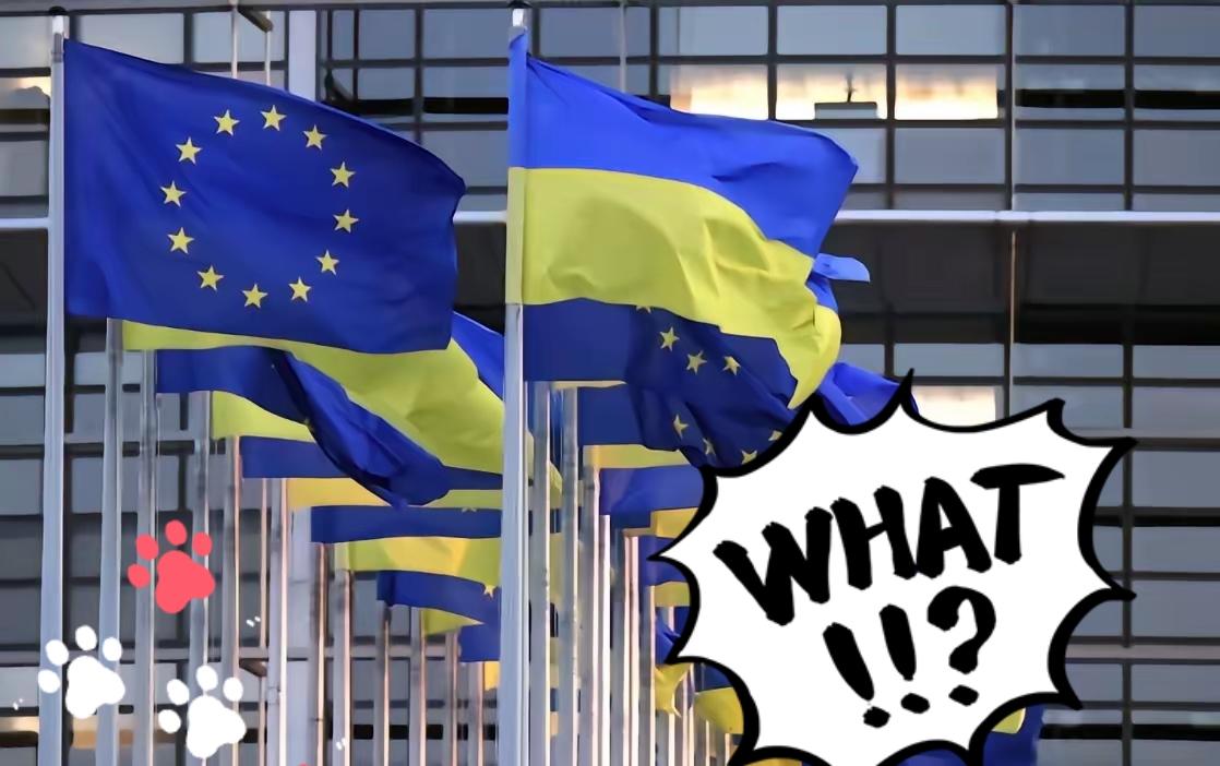 瑞士联邦委员会宣布了当地时间14日，瑞士联邦委员会宣布，美国对瑞士产品征收的关