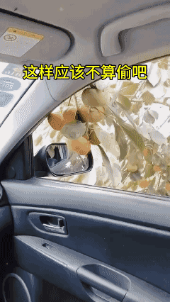 这样应该不算偷吧？[笑着哭]