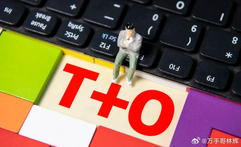 有人主张取消量化交易和实施t+0交易。这是说话不过脑子吗？现在的量化交易不就是变