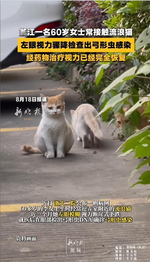 “免费的往往是最贵的！”8月18日报道，浙江，一位60多的李阿姨平时没事就侍弄侍